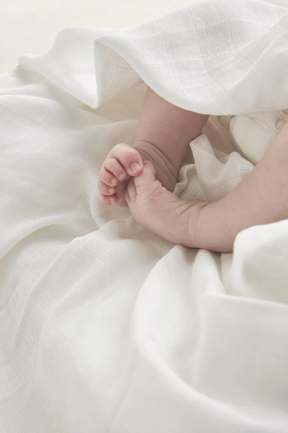 Meyco baby muslin pañales de muselina pack de 6 (pañales de tela de algodón 100% hidrófilo, paños para eructar, super suaves, buena absorción de la humedad y secado rápido, tamaño: 70 x 70 cm), blanco