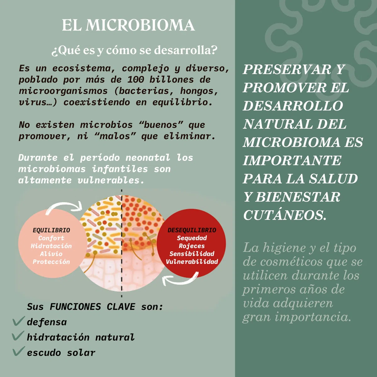 Suavinex, Gel - Crema Baño Suave para Bebés, Champú para Piel y Cabello, Sin Jabón, Apto Pieles Sensibles y Recién Nacidos, No Pica en los Ojos, 93% Ingredientes Origen Natural, con Prebiótico, 750 ml