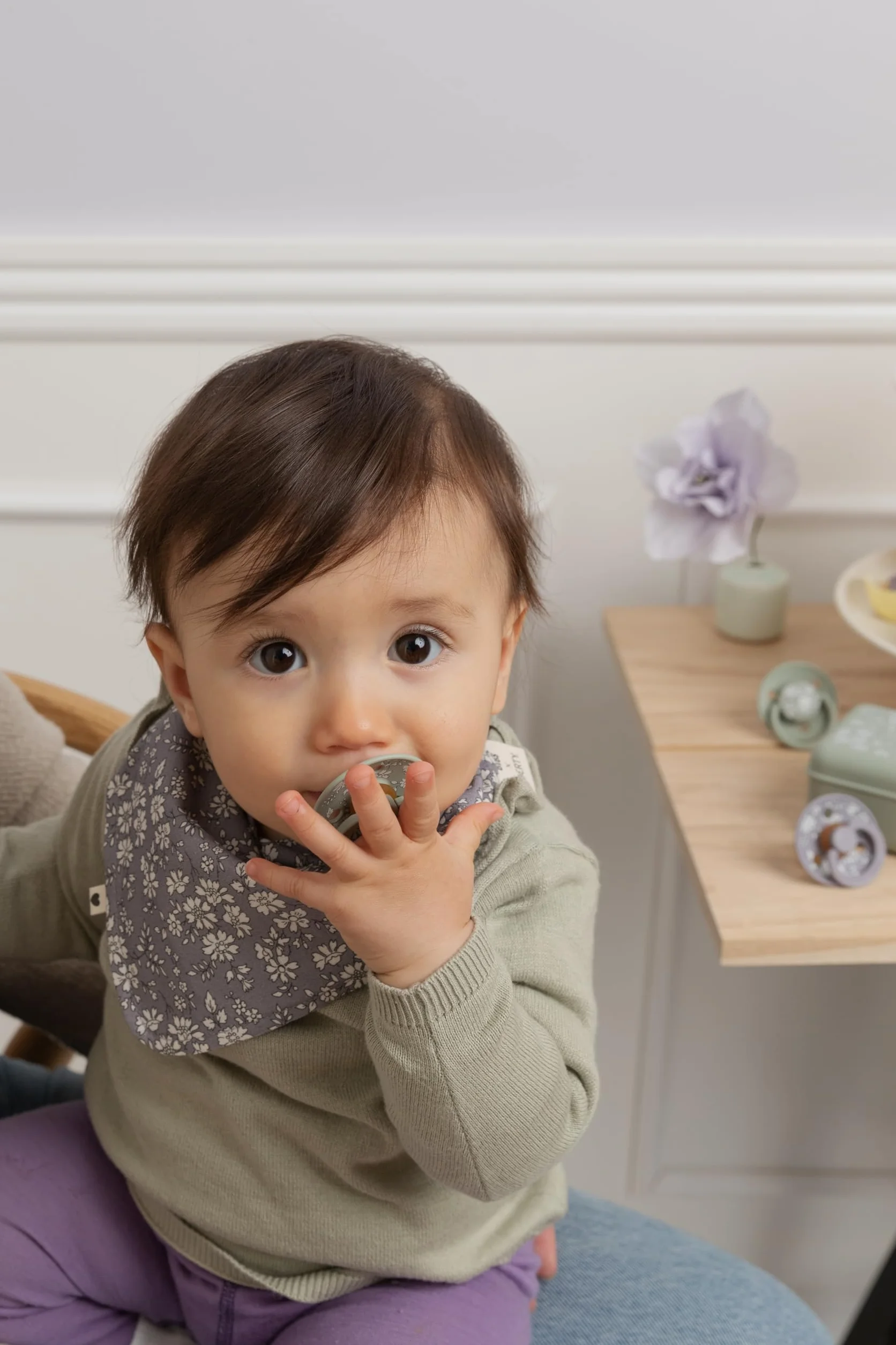 BIBS Liberty Estuche portachupetes BIBS, para guardar y transportar chupetes, se pueden guardar hasta tres chupetes, material de grado alimentario al 100% sin BPA, Talla única, Eloise Ivory