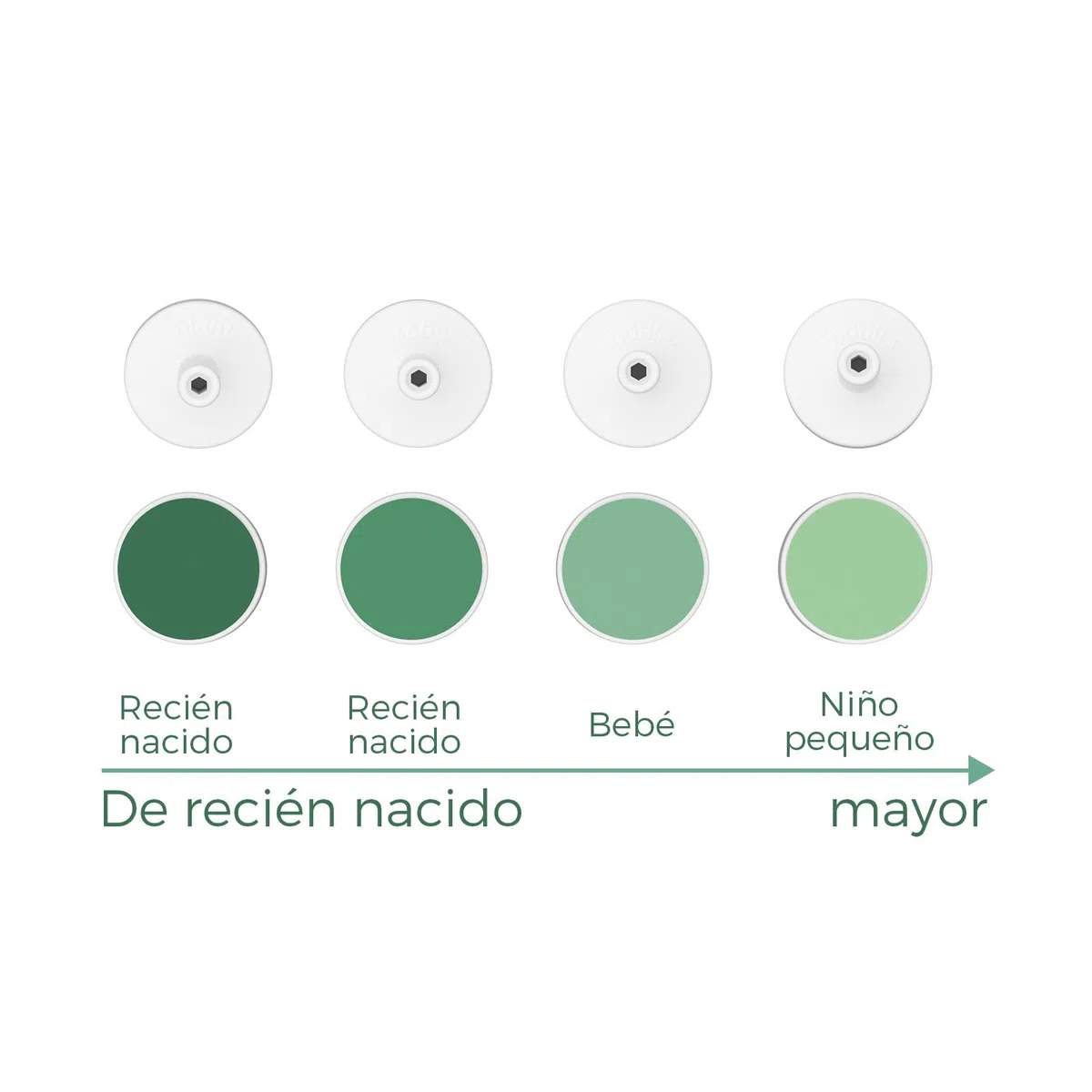 Momcozy Almohadilla de Repuesto para Cortauñas Electrico, Almohadillas de Reemplazo para Momcozy Lima Electrica Bebe, 8 Piezas, Verde
